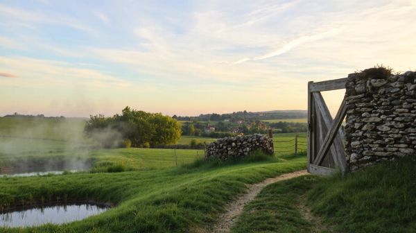 Découvrez les solutions écologiques pour lutter contre les rongeurs